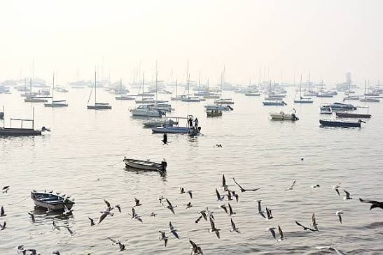 150+ Fishing Harbour In Mumbai Stock Photos, Pictures & Royalty-Free Images - iStock