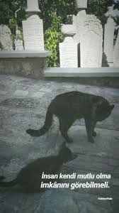 fatmanur kocer adli kullanicinin fn panosundaki pin resimler kitap kenari guzel soz