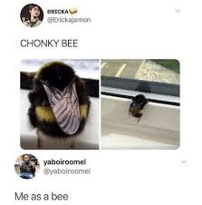 Chonky Bee Meme Shut Up And Take My Money