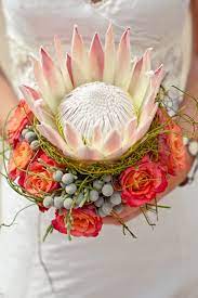 This King Protea The South African National Flower Has Been Used In This Bridal Bouquet Along With Roses Bridal Bouquet Luxury Wedding Planner Unique Bouquet
