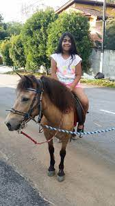 The rider sits on the pony with full weight, enjoying her strength to the maximum. T Carnival Annual Dinner Family Day Launching Organiser Kids Birthday Party Planner Malaysia Petting Zoo Services Malaysia Inflatables Bouncy Castle Pony Ride Services Malaysia Rabbit Park Services Malaysia