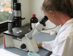 Cell culture operation is an aseptic working technique in which the environment must be immune from germ pollution and the effects of the harmful factors. Cell Culture