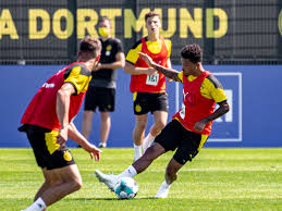 From marco plouffe (keos masons)'s store. Bvb Jadon Sancho Trainiert Mit Luca Unbehaun Von Wespe Gestochen