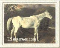 He was inducted into the national museum of racing and hall of fame in the inaugural class of 1955. Sir Archy