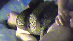 Wife Fucking And Masturbating Homemade Sextape 