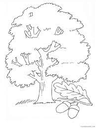 By the way, the tree coloring pages are easy and have many choices. Oak Tree Coloring Pages Tree Nature Oak Tree 4 Printable 2021 575 Coloring4free Coloring4free Com
