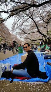 The Best Tokyo Cherry Blossom Spots To Hanami Cappuccino And A Dream Tokyo Cherry Hanami Japan Cherry Blossom Season