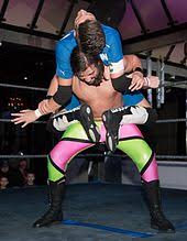Hammer a simple idea, 3. Professional Wrestling Holds Wikipedia