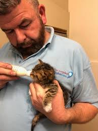 When works technician...