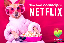 While the world continues to fall apart, all we want is to watch something that will make us laugh, isn't it? Funny Funny Family Movies On Netflix Australia