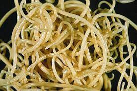 kopeklerde ic parazit nedir turleri nelerdir bilgiustam