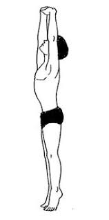 Yoga Exercise Tadasana Mountain Pose Yoga Routine Daily Yoga Routine Basic Yoga