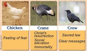 Birds And Their Meanings Bird Symbolism And Their Meanings Bird Tattoo Meaning Animal Medicine Bird