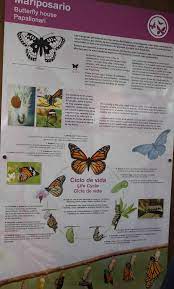 Pin En Conocimiento Del Entorno