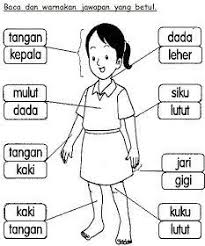 Rancangan pelajaran tahunan bahasa melayu.bahasa melayu tingkatan 2 tahun 2018 panitia bahasa melayu. Latihan Bahasa Melayu Tadika 6 Tahun Google Search School Kids Activities Kindergarten Worksheets Kindergarten Reading Worksheets
