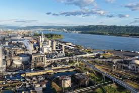 Columbia River contaminated by Longview mill chemical implosion, officials say
