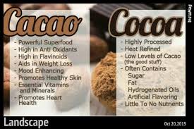 We did not find results for: Breaking The Impossible 10 Khasiat Koko Yang Perlu Anda Tahu