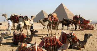 The four of us have ridden camels before. Camel Ride At The Pyramids Egypt Tour Goway Travel