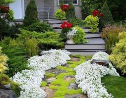 Einen Wunderschonen Garten Gestalten Mit Wenig Geld Wohnideen Und Dekoration Vorgarten Anlegen Garten Gestalten Hintergarten
