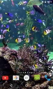Ce n'est pas un 5% significatif, mais il permet aux fabricants en amont d'économiser des coûts considérables quand il est appliqué à grande. Aquarium 4k Fond D Ecran Anime Android App Apk Aquarium4k Etlwallpaper Com Par Eternalersa Telecharger Sur Phoneky