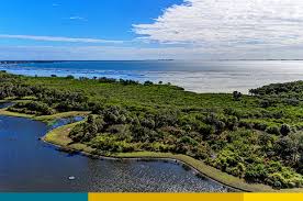 We did not find results for: Houses For Sale In Bradenton Fl Legends Bay Medallion
