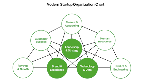 Startup Organization Chart In 2017 Leadership Strategies