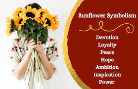 Sunflower Symbolism Sunflower Tattoo Meaning Sunflower Flower Symbol
