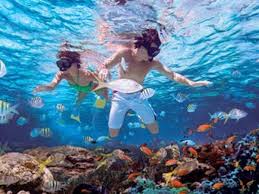 Catalina Island and Snorkeling with Catamaran Party From Punta Cana