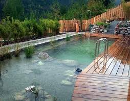 Pin By Doug Burdick On Natural Swimming Pools Natural Pool Natural Pond Swimming Pond