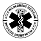 Medical Professionals | CME event image