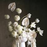 Barrington Blooms en Blanc