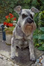 Hand crafted in the uk. Schnauzer Painting On Canvas Dog Artists