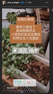 Maybe you would like to learn more about one of these? é™³è‰¾ç³èŠ±åº—æ•´æ ªæ¤ç‰©ç›´æŽ¥è¢«æŒ–èµ° æ€'å¼ ä½ å€'ä½åœ¨å¤§å®‰å€æ¬¸ å¨›æ¨‚æ˜Ÿèž