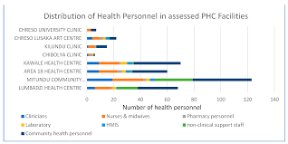 I appreciate their kindness and patience especially when you are already in pain. Ijerph Free Full Text Reorienting Primary Health Care Services For Non Communicable Diseases A Comparative Preparedness Assessment Of Two Healthcare Networks In Malawi And Zambia Html