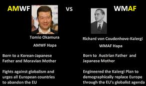 Résultat de recherche d'images pour "hapas meme"