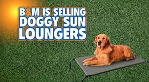 Dogbed4less premium orthopedic memory foam dog bed for large dogs, waterproof case a. B M Is Selling Dog Sun Loungers And Dog Sun Screen As Temperatures Climb Chronicle Live