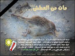 سقـيا المـــــاء للطيور والدواب وكل كبد رطبة