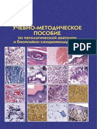 Размер пор зависит от развития и активности сальных желез: 2181