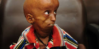 We did not find results for: Web