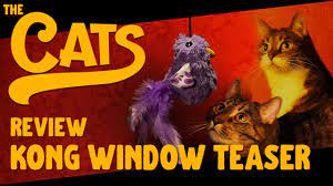 The Cats Review Rolorat By Frolicat Youtube