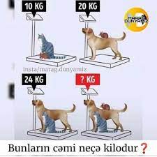 məntiq testi və həmcinin riyazi testi in 2021 facts