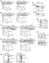 Sam tan is known for his work on голодные игры (2012), the commando (2021) and csi: A Protein Quality Control Pathway At The Mitochondrial Outer Membrane Elife