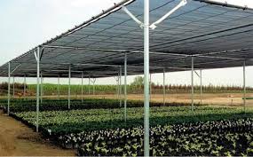 Golgelik File Bahce Golgelik Sera Golgelik 2 25m 50m2 55lik