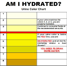 How Much Water Should You Be Drinking Luchafit