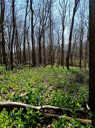 Profile for Holton Farms