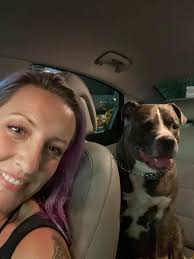 He needs a home not the shelter. Someone. To care for him Any takers ?