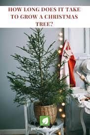 How Long Does It Take To Grow A Christmas Tree Yard Surfer Home Decor Online Scandinavian Christmas Trees Home Decor Websites