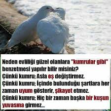Nurten Atalay Adli Kullanicinin Guzel Sozler Panosundaki Pin Ozlu Sozler Guzel Soz Gercekler