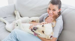 Sparkasse horn, blz 20221 kontonummer: Darf Der Hund Auf Die Couch Hunde
