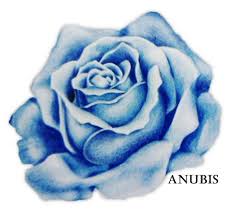 Traditional Blue Rose Tattoo Google Search Blue Rose Tattoos Traditional Tattoo Rose Tattoos